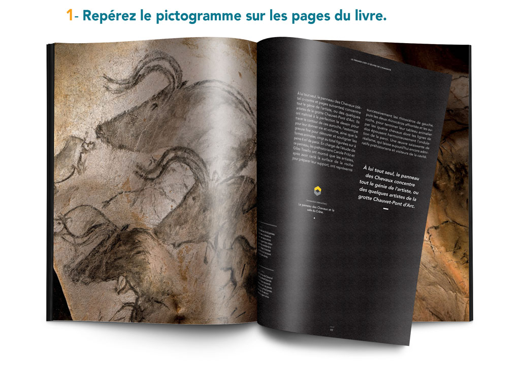 Livre Chauvet-Pont d'Arc