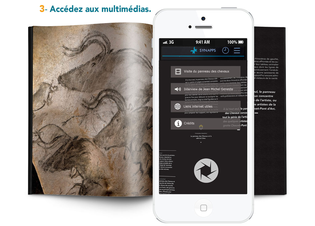 Livre Chauvet-Pont d'Arc